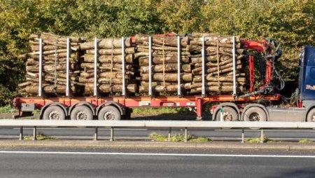 Ungaria vrea să interzică exporturile de lemn de foc, după ce livrarea de petrol rusesc prin conducta Drujba a fost oprită
