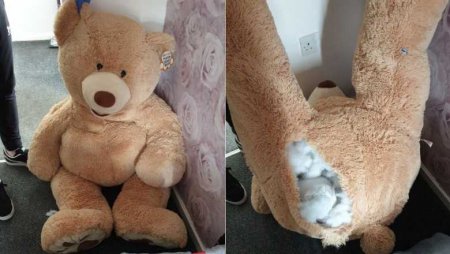 Un hoț care s-a ascuns de poliție într-un urs uriaș de pluș a fost prins când ofițerii și-au dat seama că jucăria „respira”